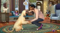sims 4 dogs and cats torrent