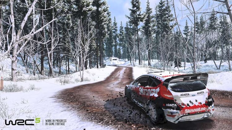 WRC 5 - FIA World Rally Championship DE/FR/BE Steam CD Key 