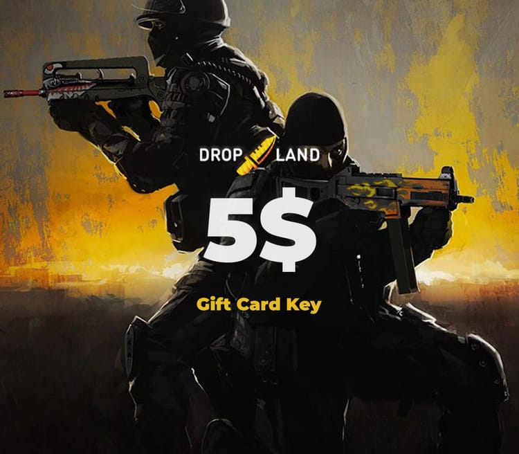 Dropland.net 5 USD Gift Card Key