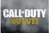 Call of Duty: WWII UNCUT EN/DE/JP/RU Languages Only EU Steam CD Key