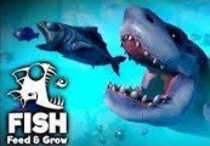 feed and grow fish hack