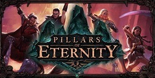 Pillars of Eternity Hero Edition Steam CD Key | Kinguin