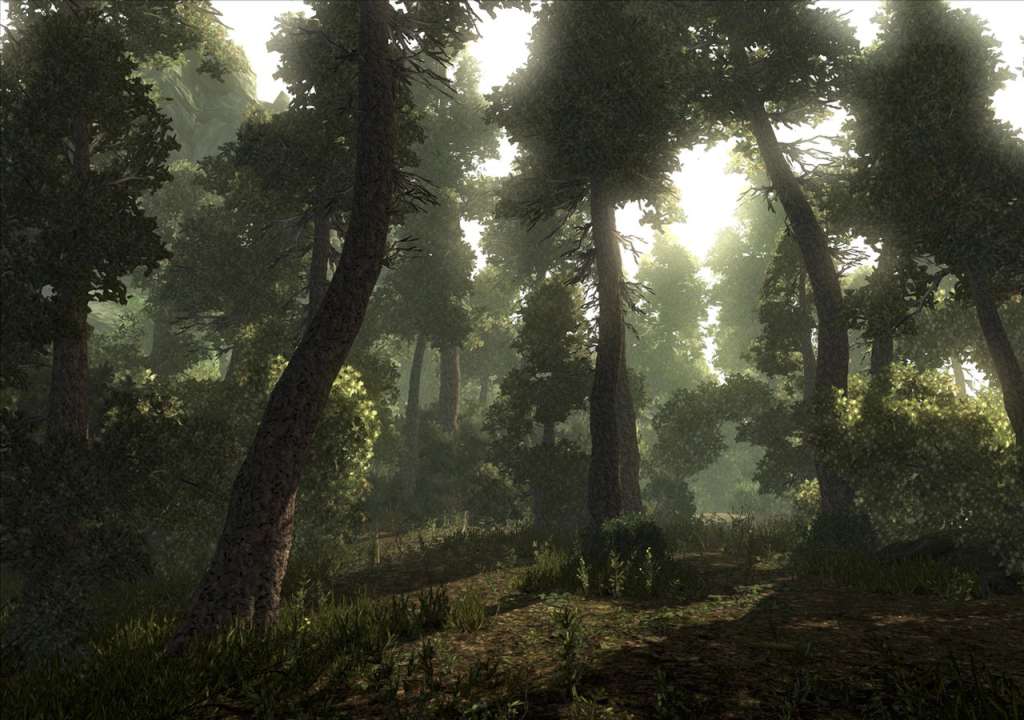 Risen Collection Steam Gift