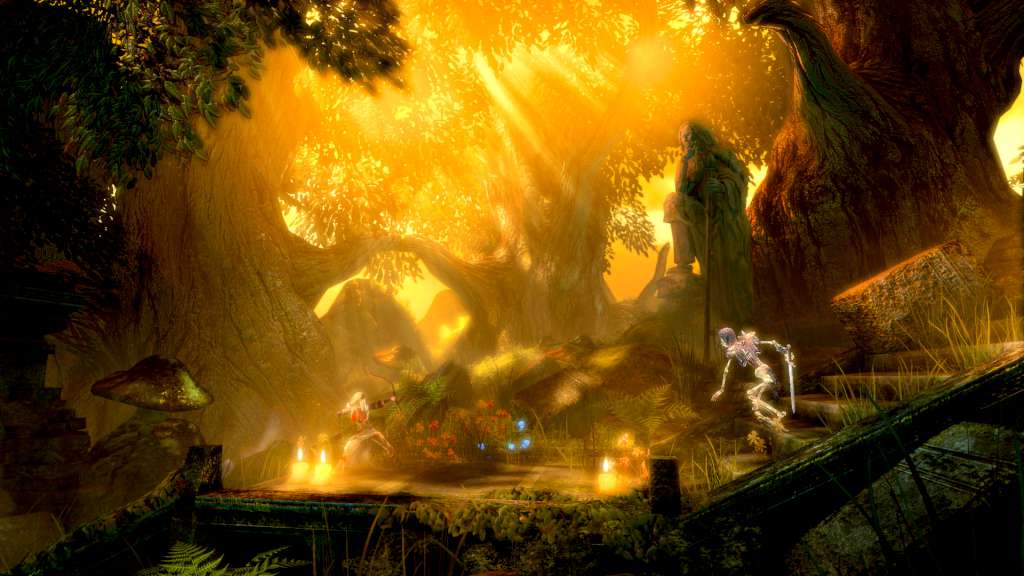 Trine Collection Steam Gift