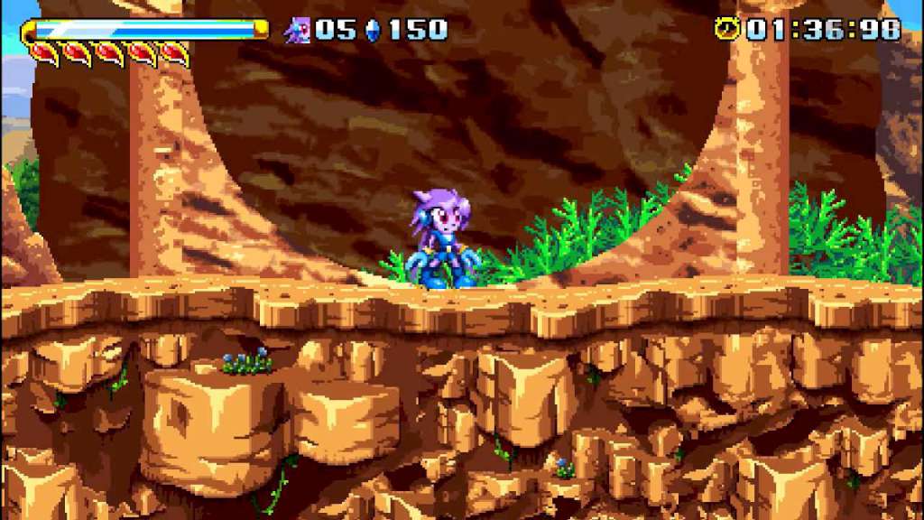 Freedom Planet US Wii U CD Key