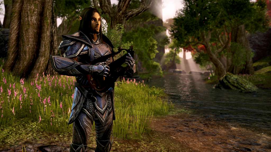 The Elder Scrolls Online -  Explorer's Pack DLC US XBOX One CD Key