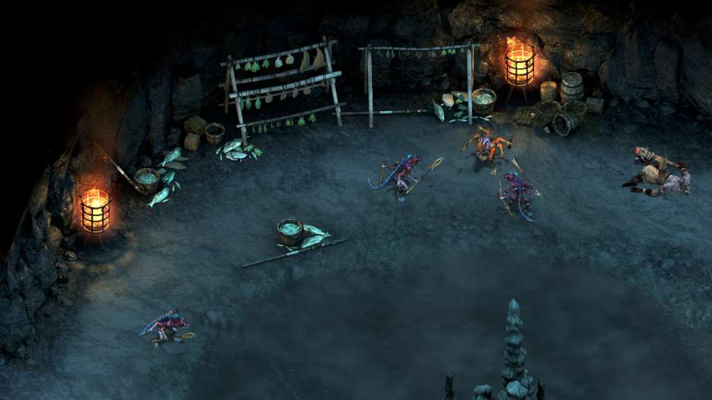 Pillars of Eternity: The White March - Part 1 Steam CD Key