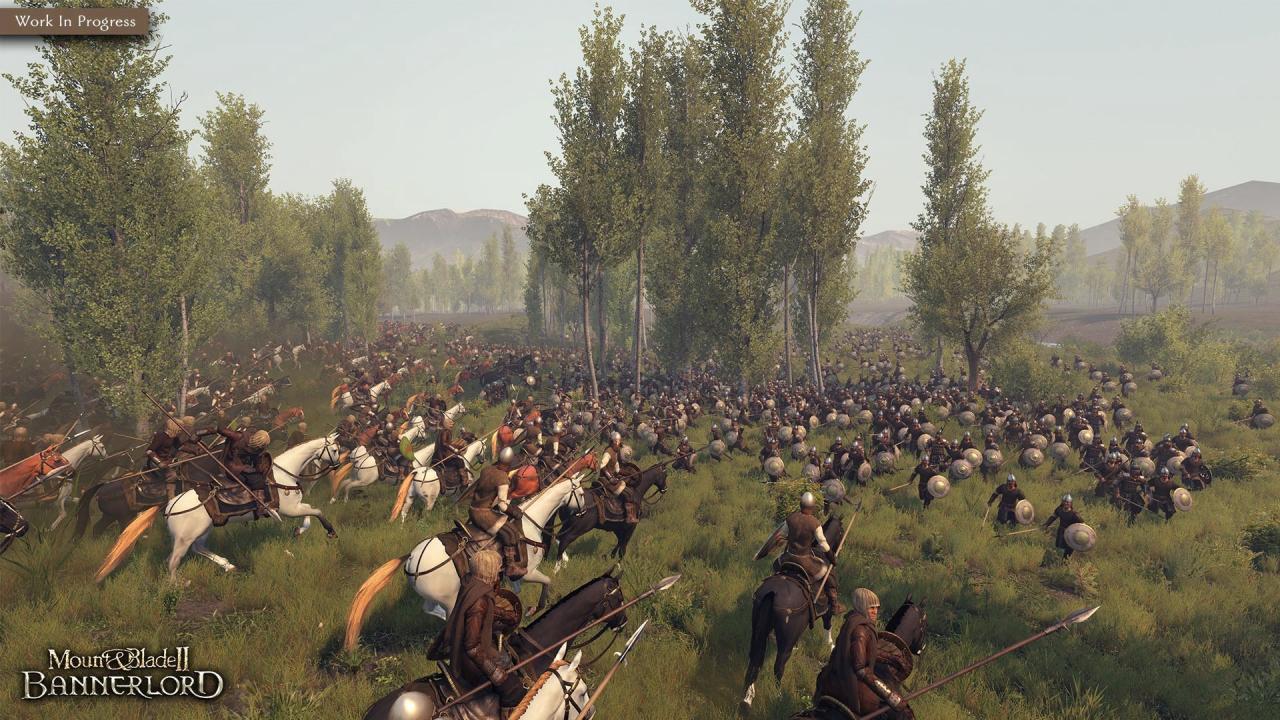 Mount & Blade II: Bannerlord Steam CD Key