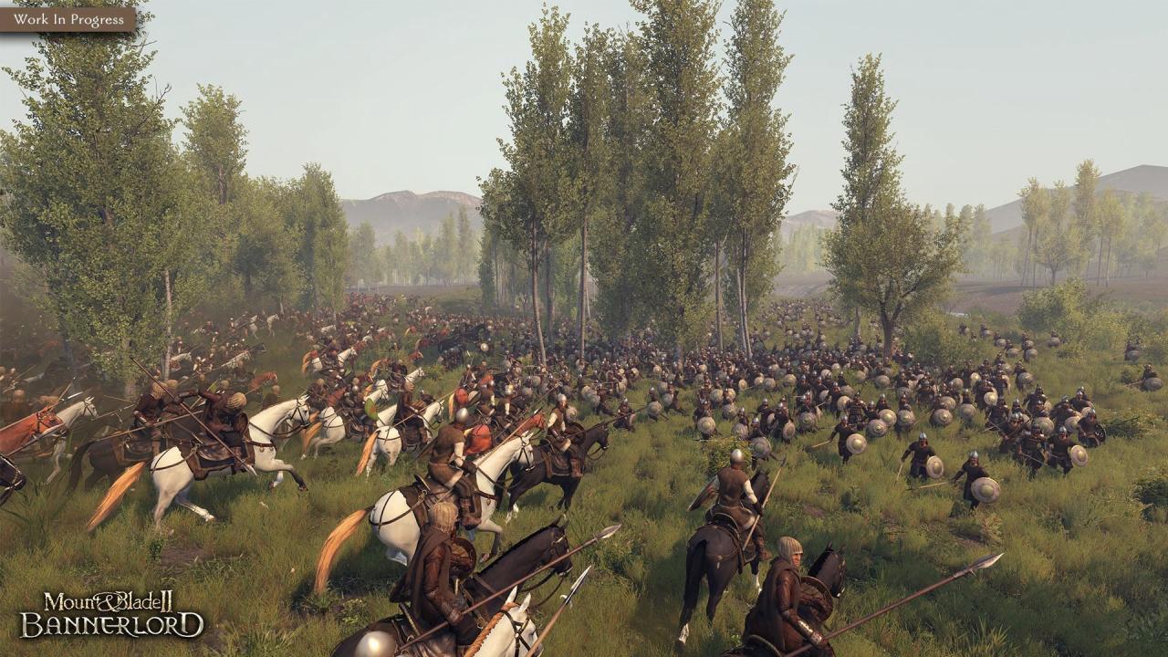 Mount & Blade II: Bannerlord RU VPN Activated Steam CD Key