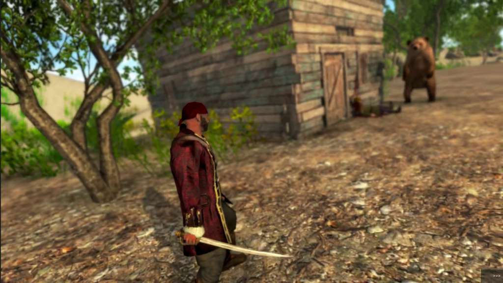 Caribbean Odyssey Steam CD Key