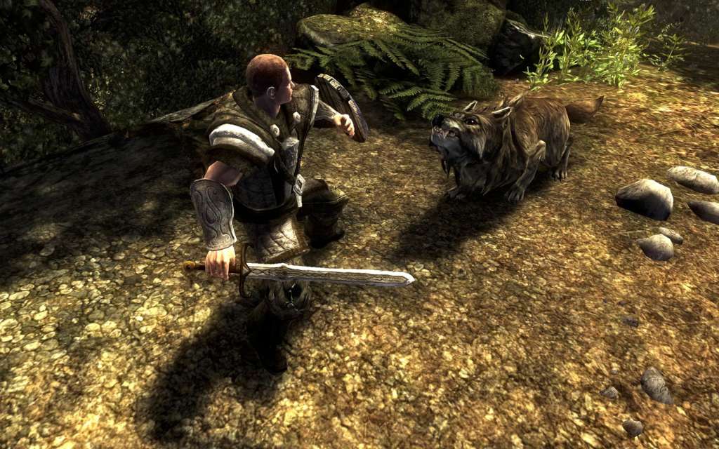 Risen Franchise Pack 2015 Steam Gift