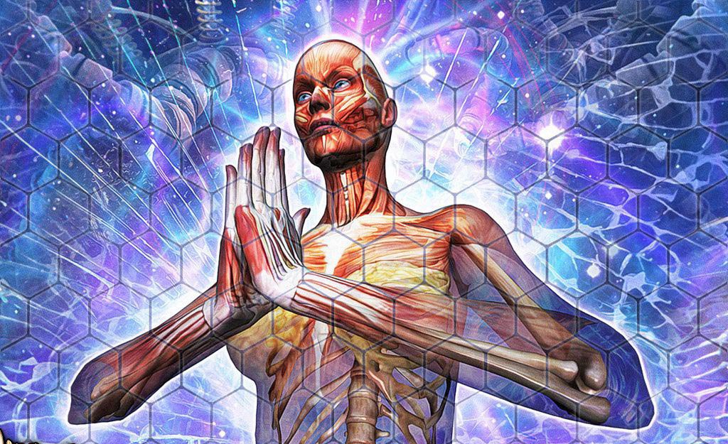 Redrum Bundle Steam CD Key