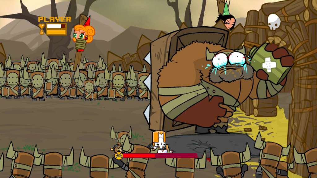 Castle Crashers Steam CD Key