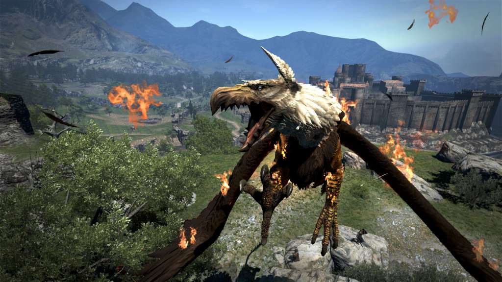 Dragon's Dogma: Dark Arisen US Nintendo Switch CD Key