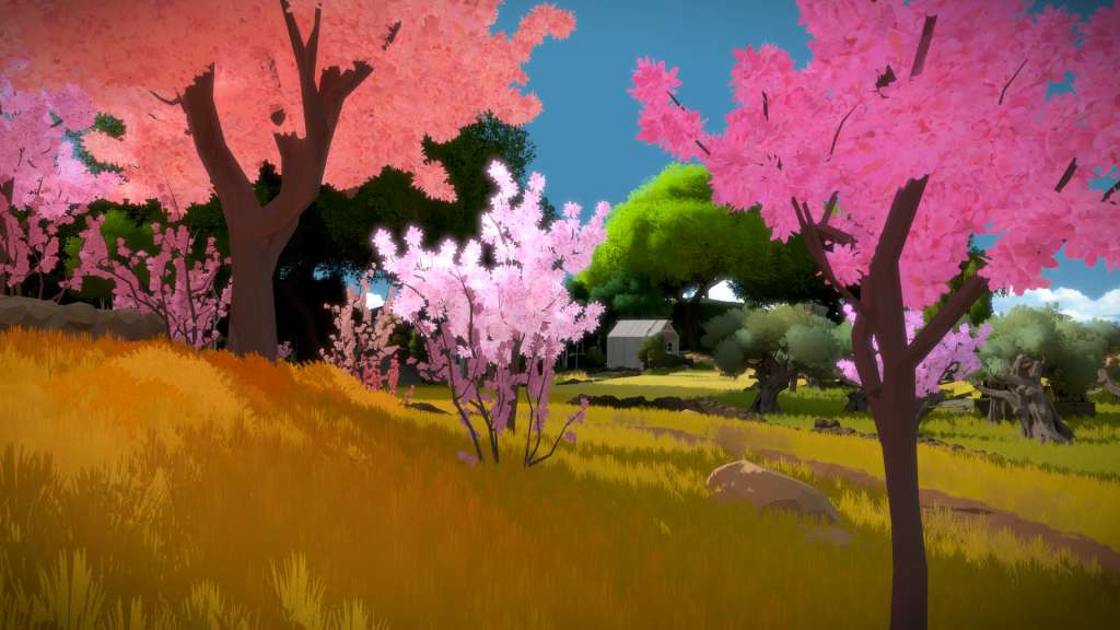 The Witness XBOX One CD Key