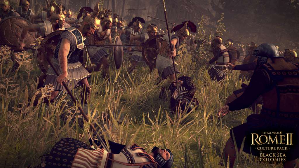 Total War: ROME II - Black Sea Colonies Culture Pack DLC Steam GIft