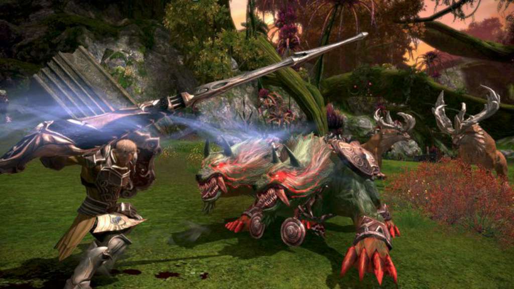 TERA: Founder’s Pack US PS4 CD Key