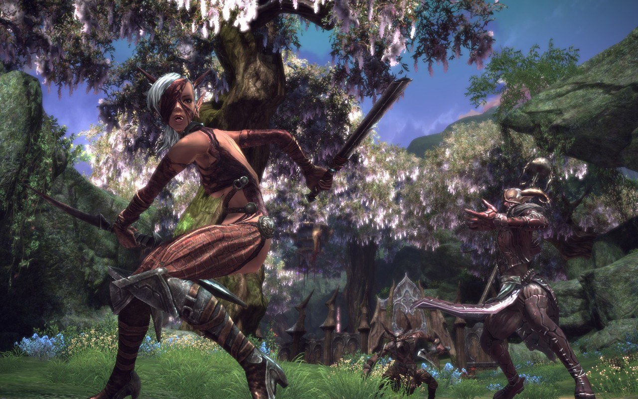 Tera Online Collector's Edition EU Digital Download CD Key