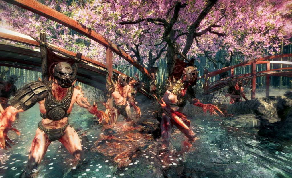 Shadow Warrior Special Edition Steam CD Key