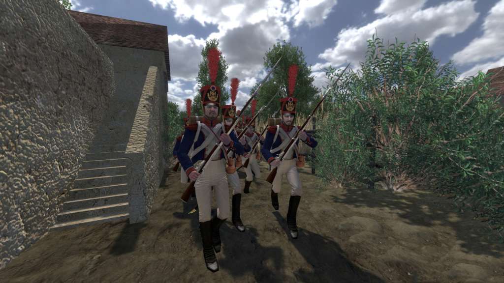 Mount & Blade: Warband - Napoleonic Wars DLC GOG CD Key