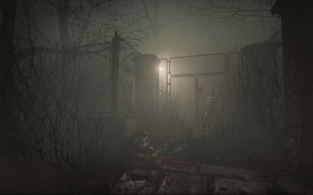 Outlast + Whistleblower DLC Steam CD Key