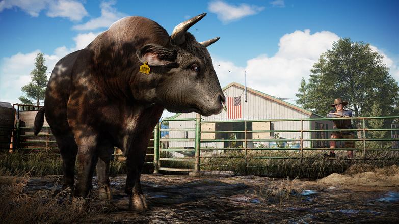 Far Cry 5 Deluxe Edition EMEA Uplay CD Key