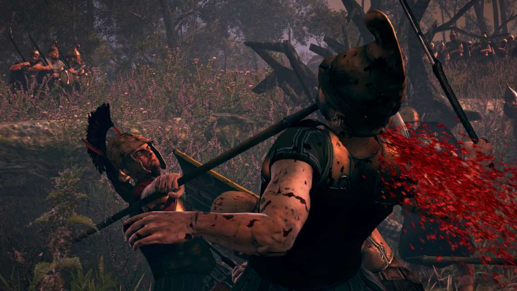 Total War: ROME II - Blood & Gore DLC Steam CD Key
