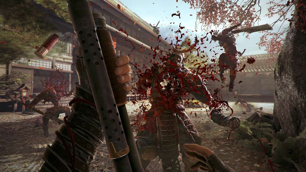 Shadow Warrior 2 EU Steam Altergift