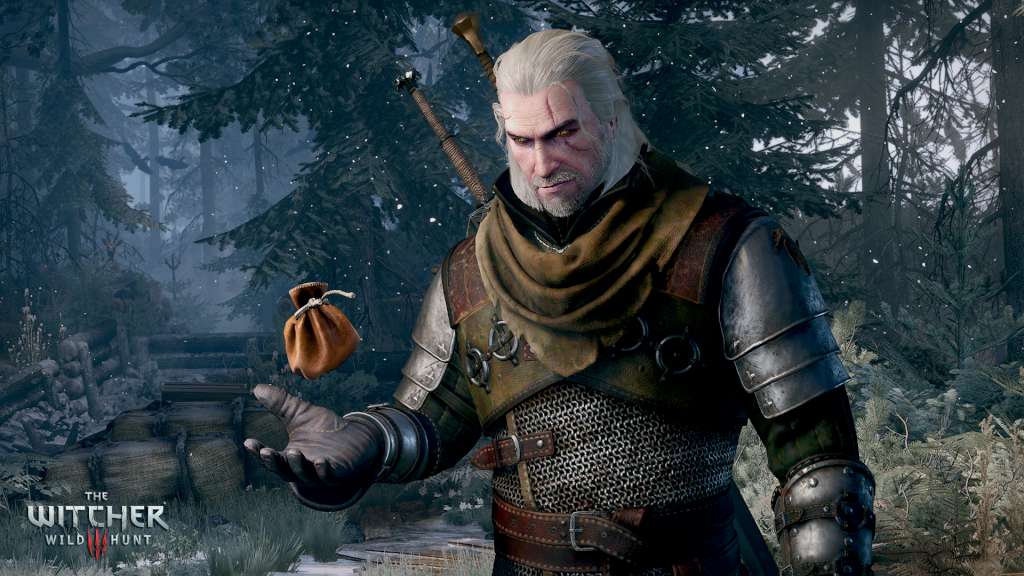The Witcher 3: Wild Hunt - Expansion Pass Steam Altergift