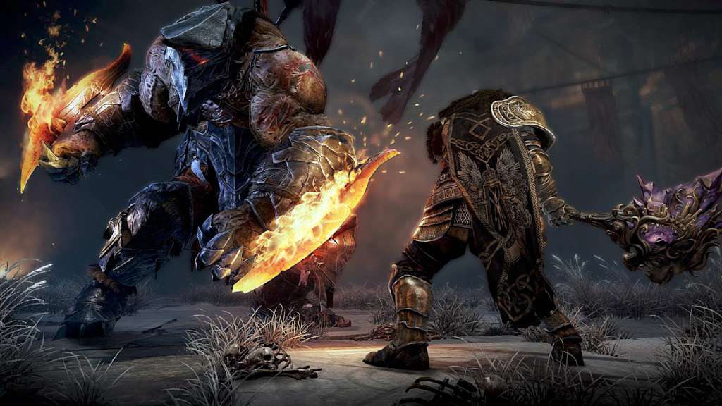 Lords of the Fallen - Lion Heart Pack Steam CD Key