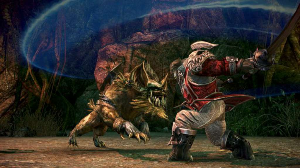 TERA: Founder’s Pack US PS4 CD Key