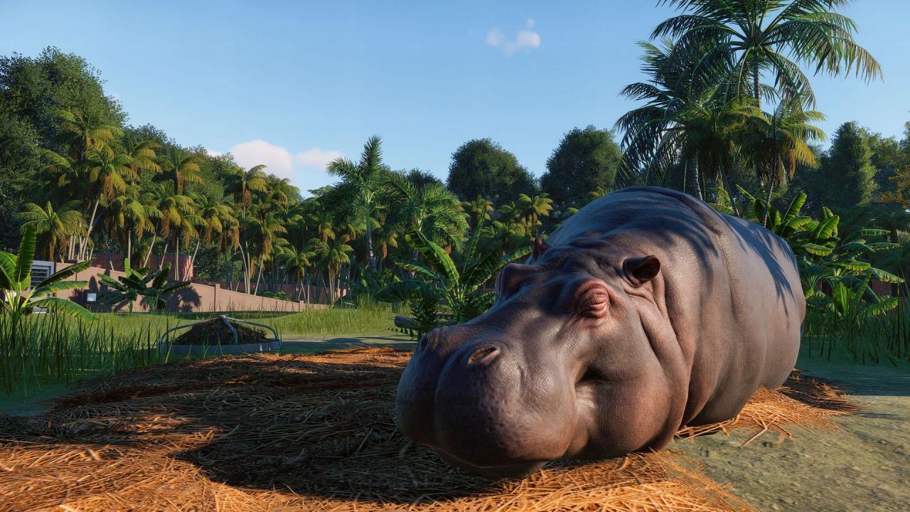 Planet Zoo EU Steam Altergift