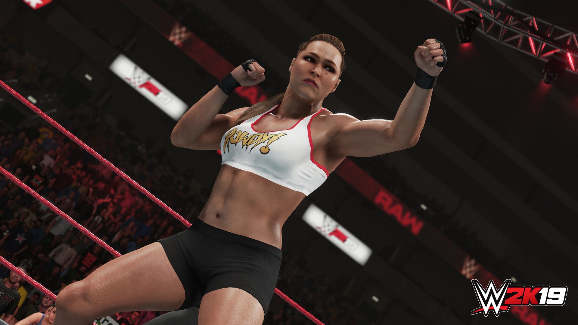 WWE 2K19 EU Steam CD Key