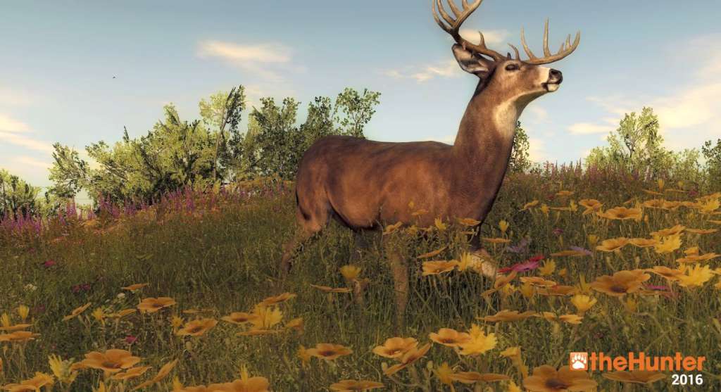 TheHunter 2016: Pathfinder Starter Pack Digital Download CD Key