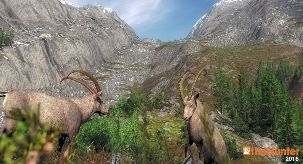 TheHunter 2016: Pathfinder Starter Pack Digital Download CD Key