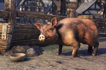 The Elder Scrolls Online - Bristlegut Piglet + 15 days of TESO Plus DLC Digital Download CD Key 