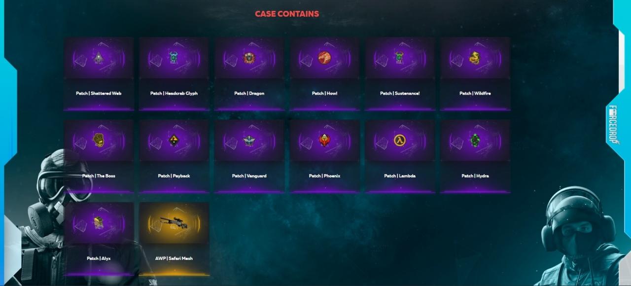 Counter-Strike: Global Offensive RANDOM PATCH by FORCE-DROP.COM CD Key