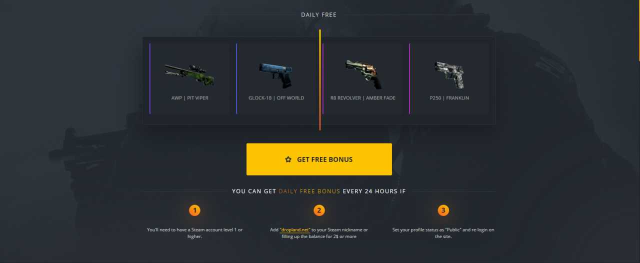 Dropland.net 100 USD Gift Card Key