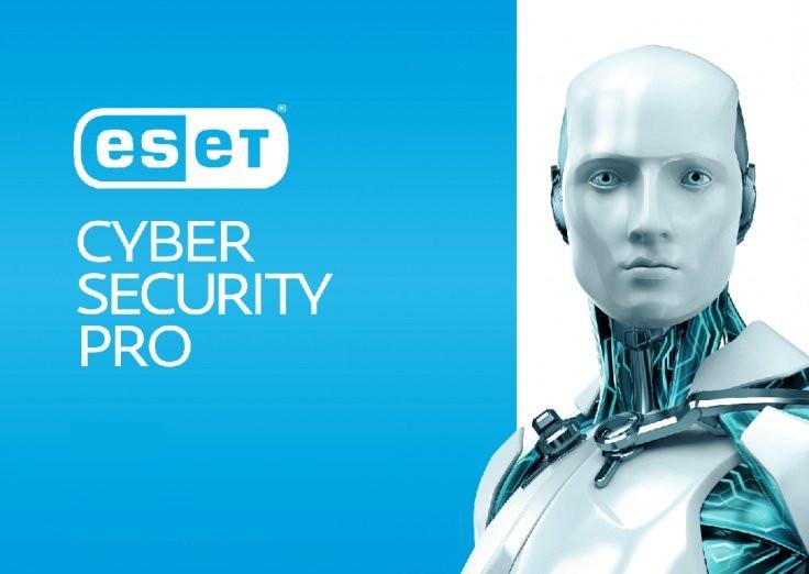 ESET Cyber Security Pro Key (1 Year / 1 PC)