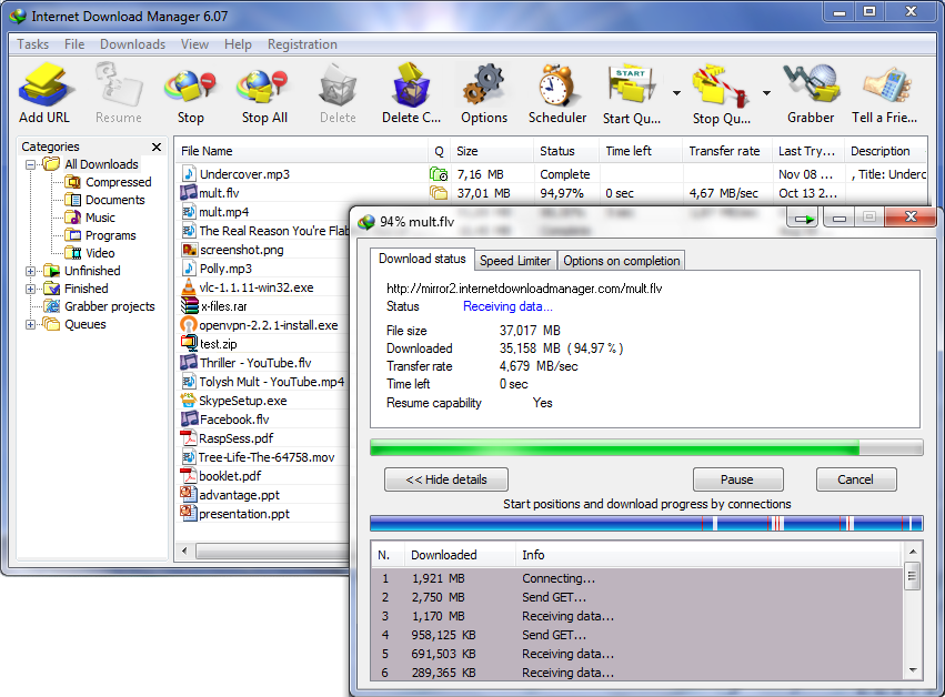 Internet Download Manager (Lifetime License / 1 PC)