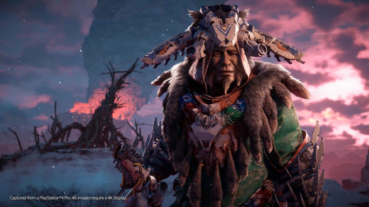 Horizon Zero Dawn - The Frozen Wilds DLC US PS4 Key