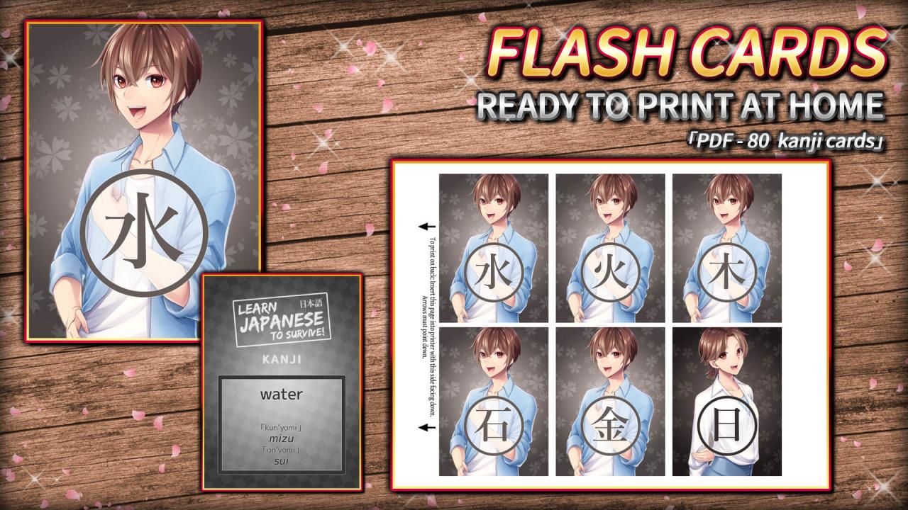 Learn Japanese To Survive! Kanji Combat - Flash Cards DLC Steam CD Key