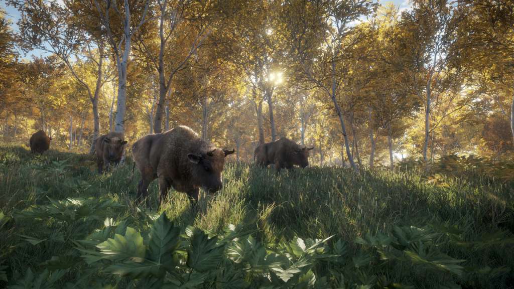 theHunter: Call of the Wild EU Steam Altergift