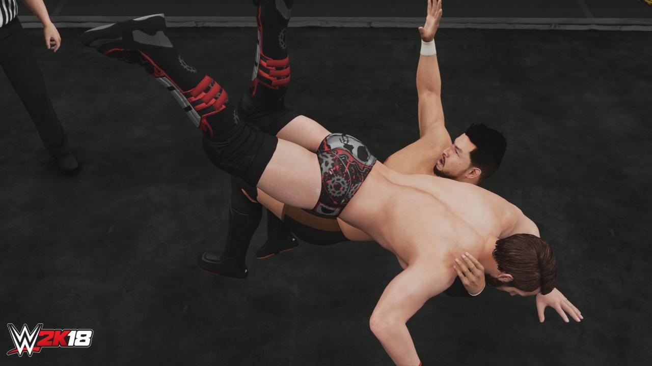 WWE 2K18 - New Moves Pack DLC Steam CD Key