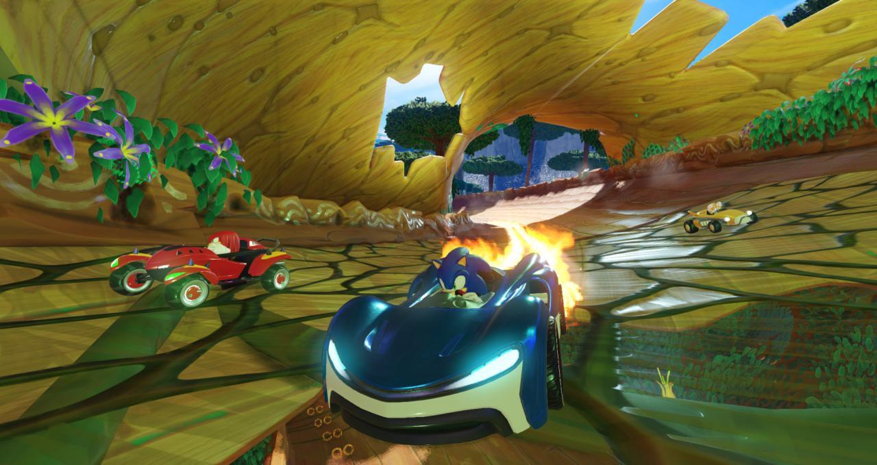 Team Sonic Racing US Nintendo Switch CD Key