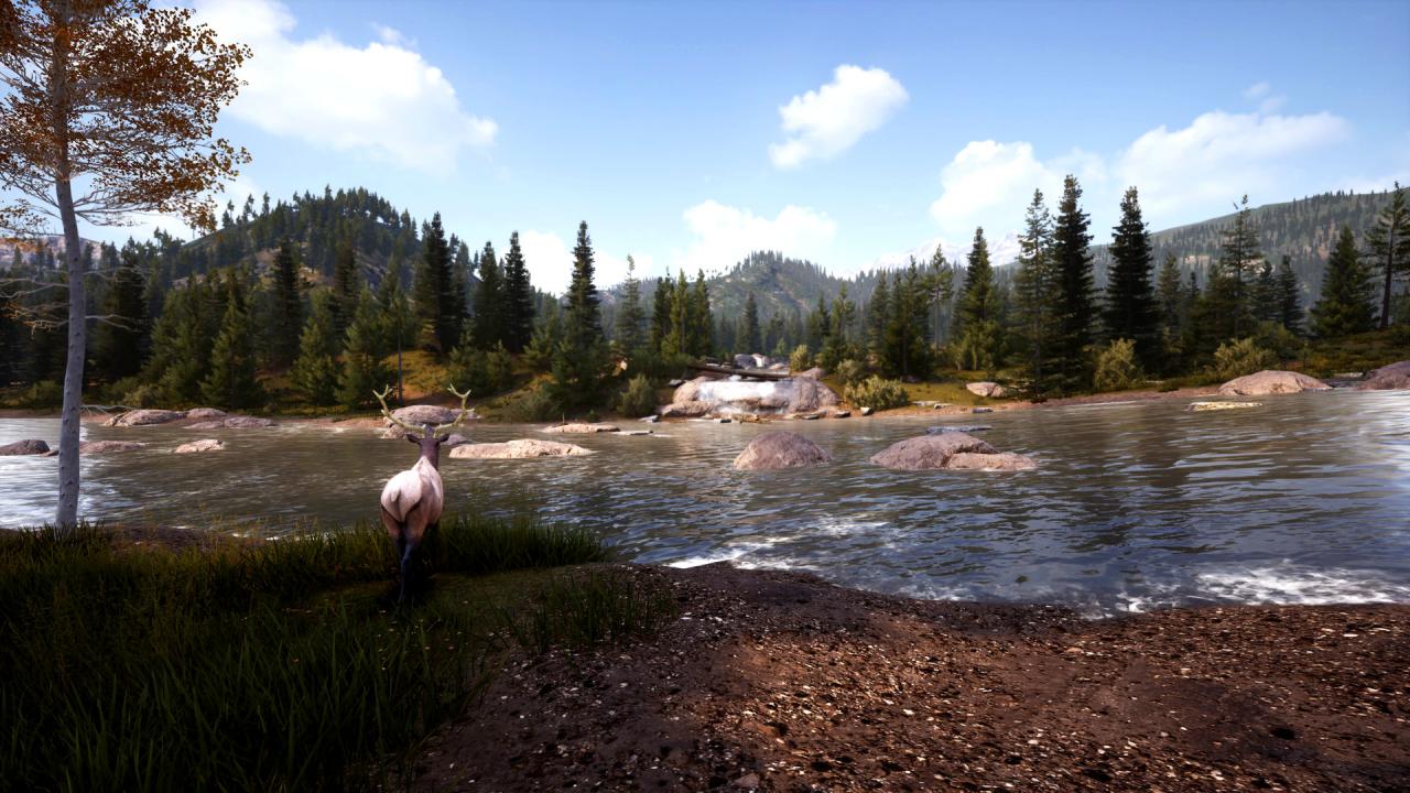 Hunting Simulator 2 - Bear Hunter Pack DLC EU Steam Altergift