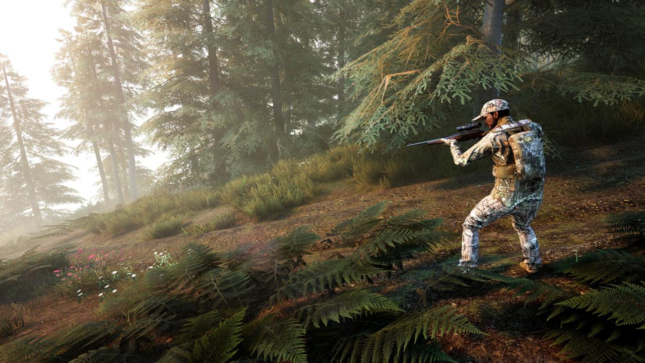Hunting Simulator 2 Bear Hunter Edition Steam CD Key