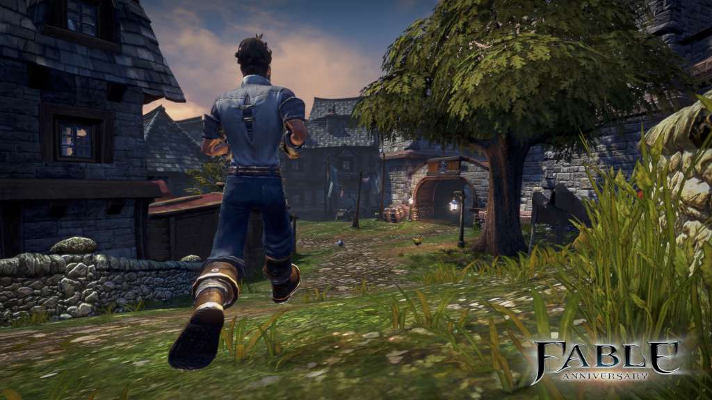 Fable Anniversary EU Steam CD Key
