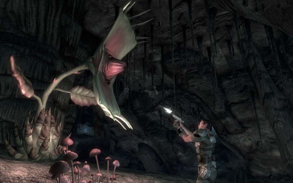 Fallout: New Vegas Ultimate Edition Region Locked Steam CD Key