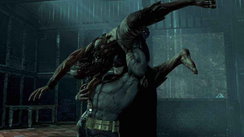 Batman: Arkham Asylum GOTY Edition EU Steam CD Key